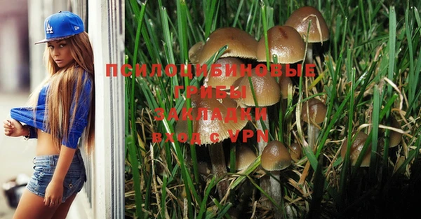 ешки Переславль-Залесский