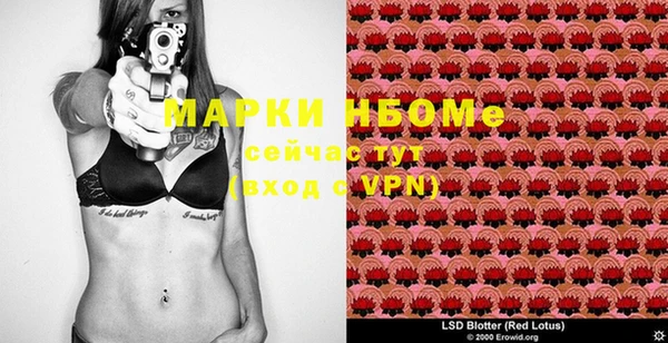ешки Осинники