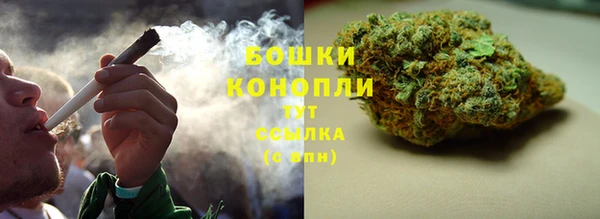 трава Осташков