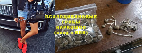 ешки Переславль-Залесский