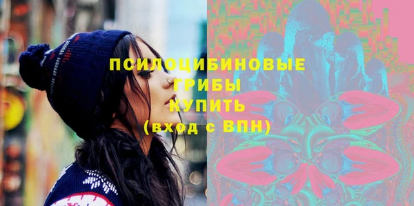 индика Остров