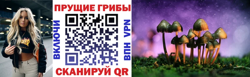 Купить закладки  Дмитров  Псилоцибиновые грибы ЛСД 